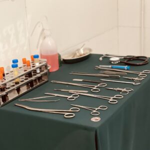 اتاق فرار زنده‌گیری